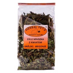 WYPRZEDAŻ !!! Herbal Pets ZIELE MNISZKA Z KWIATEM 80g TERMIN 05.2024 już nie takie zielone (mniszek)